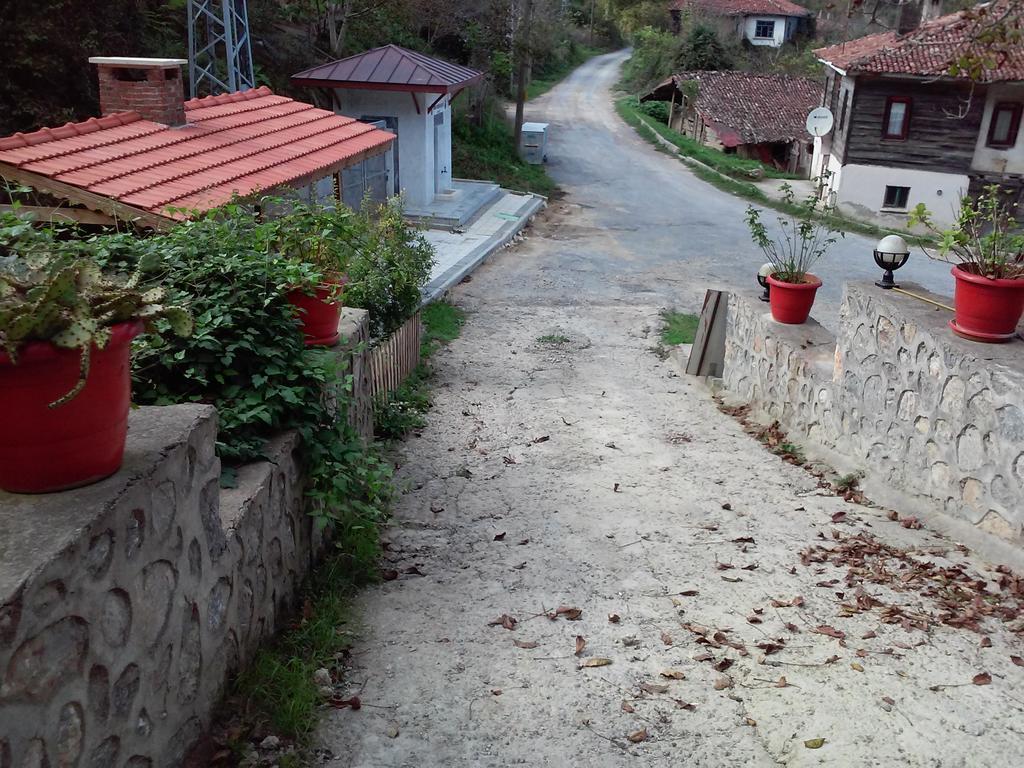 Ekoland Hotel Ağva Exterior foto